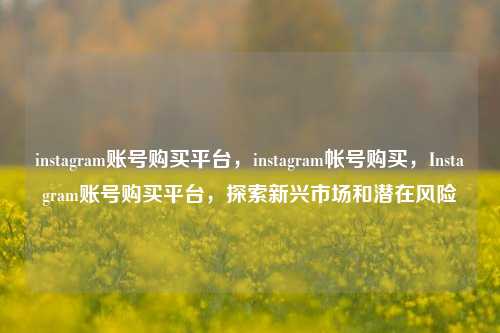 instagram账号购买平台，instagram帐号购买，Instagram账号购买平台，探索新兴市场和潜在风险