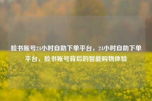脸书账号24小时自助下单平台，24小时自助下单平台，脸书账号背后的智能购物体验