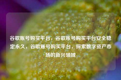 谷歌账号购买平台，谷歌账号购买平台安全稳定永久，谷歌账号购买平台，探索数字资产市场的新兴领域