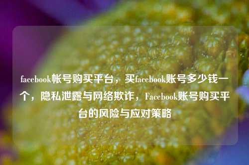 facebook帐号购买平台，买facebook账号多少钱一个，隐私泄露与网络欺诈，Facebook账号购买平台的风险与应对策略