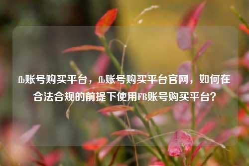 fb账号购买平台，fb账号购买平台官网，如何在合法合规的前提下使用FB账号购买平台？
