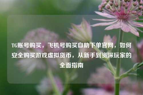 TG账号购买	，飞机号购买自助下单官网，如何安全购买游戏虚拟货币，从新手到资深玩家的全面指南  第1张