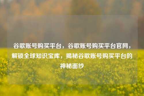 谷歌账号购买平台，谷歌账号购买平台官网，解锁全球知识宝库，揭秘谷歌账号购买平台的神秘面纱