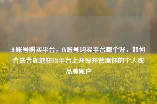 fb账号购买平台，fb账号购买平台哪个好，如何合法合规地在FB平台上开设并管理你的个人或品牌账户