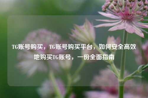 TG账号购买，TG账号购买平台，如何安全高效地购买TG账号，一份全面指南