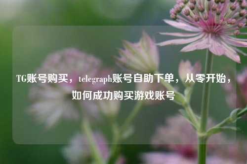 TG账号购买，telegraph账号自助下单，从零开始，如何成功购买游戏账号