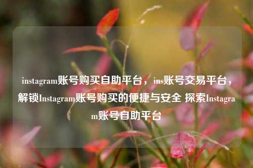instagram账号购买自助平台，ins账号交易平台，解锁Instagram账号购买的便捷与安全 探索Instagram账号自助平台