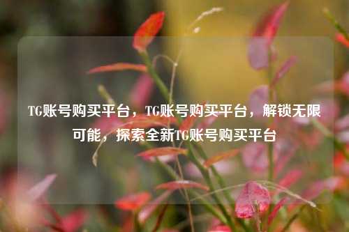 TG账号购买平台，TG账号购买平台，解锁无限可能，探索全新TG账号购买平台