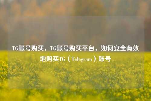 TG账号购买，TG账号购买平台，如何安全有效地购买TG（Telegram）账号