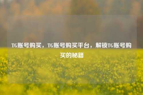 TG账号购买，TG账号购买平台，解锁TG账号购买的秘籍