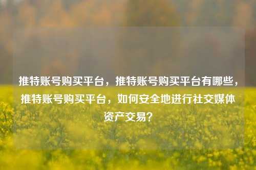 推特账号购买平台，推特账号购买平台有哪些，推特账号购买平台，如何安全地进行社交媒体资产交易？
