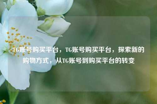TG账号购买平台，TG账号购买平台，探索新的购物方式，从TG账号到购买平台的转变