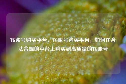 TG账号购买平台，TG账号购买平台，如何在合法合规的平台上购买到高质量的TG账号