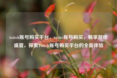 twitch账号购买平台，twitte账号购买，畅享游戏盛宴，探索Twitch账号购买平台的全新体验