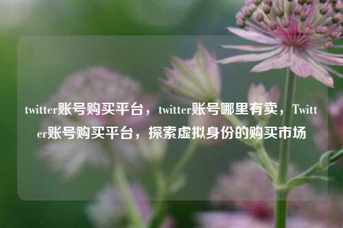 twitter账号购买平台，twitter账号哪里有卖，Twitter账号购买平台，探索虚拟身份的购买市场