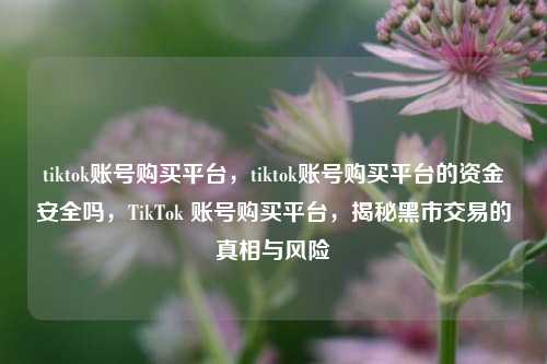 tiktok账号购买平台，tiktok账号购买平台的资金安全吗，TikTok 账号购买平台，揭秘黑市交易的真相与风险