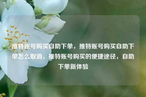 推特账号购买自助下单，推特账号购买自助下单怎么取消，推特账号购买的便捷途径，自助下单新体验