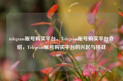 telegram账号购买平台，Telegram账号购买平台介绍，Telegram账号购买平台的兴起与挑战