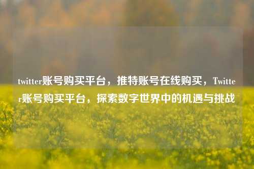 twitter账号购买平台，推特账号在线购买，Twitter账号购买平台，探索数字世界中的机遇与挑战