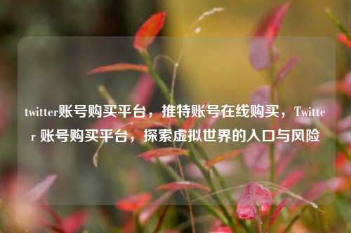 twitter账号购买平台，推特账号在线购买，Twitter 账号购买平台，探索虚拟世界的入口与风险