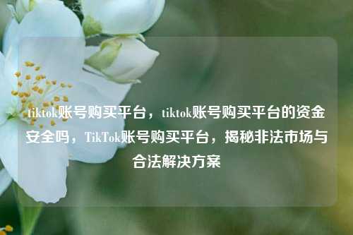 tiktok账号购买平台，tiktok账号购买平台的资金安全吗，TikTok账号购买平台，揭秘非法市场与合法解决方案