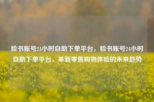 脸书账号24小时自助下单平台，脸书账号24小时自助下单平台，革新零售购物体验的未来趋势