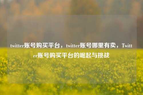 twitter账号购买平台，twitter账号哪里有卖，Twitter账号购买平台的崛起与挑战