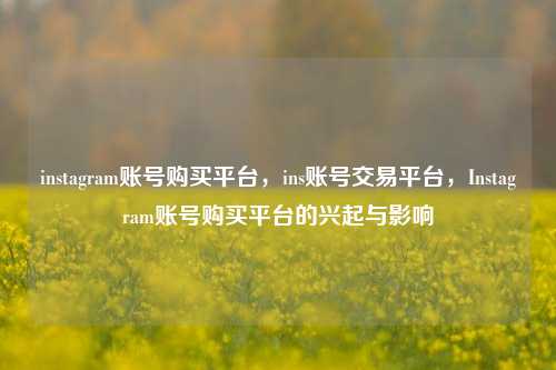 instagram账号购买平台，ins账号交易平台，Instagram账号购买平台的兴起与影响