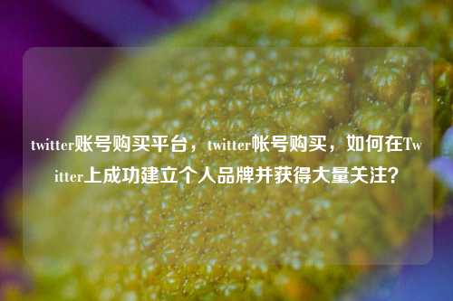 twitter账号购买平台，twitter帐号购买，如何在Twitter上成功建立个人品牌并获得大量关注？