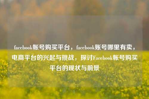 facebook帐号购买平台，facebook账号哪里有卖，电商平台的兴起与挑战，探讨Facebook帐号购买平台的现状与前景