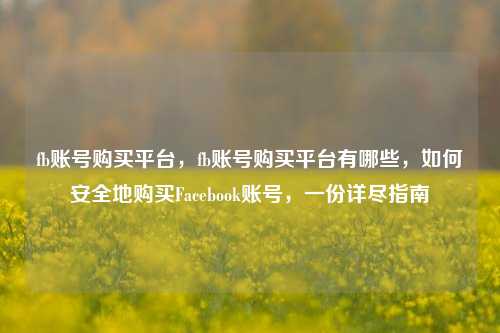 fb账号购买平台，fb账号购买平台有哪些，如何安全地购买Facebook账号，一份详尽指南