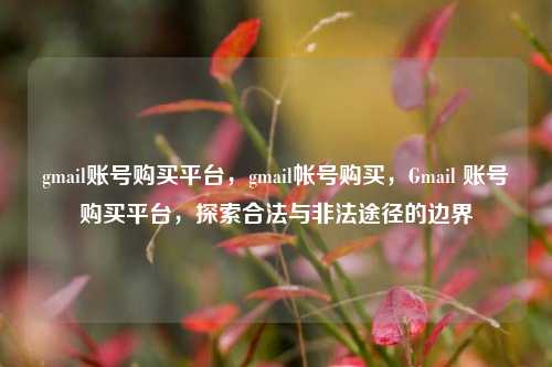 gmail账号购买平台，gmail帐号购买，Gmail 账号购买平台，探索合法与非法途径的边界