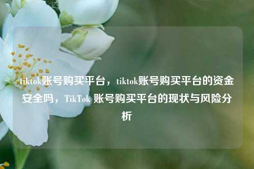 tiktok账号购买平台，tiktok账号购买平台的资金安全吗，TikTok 账号购买平台的现状与风险分析