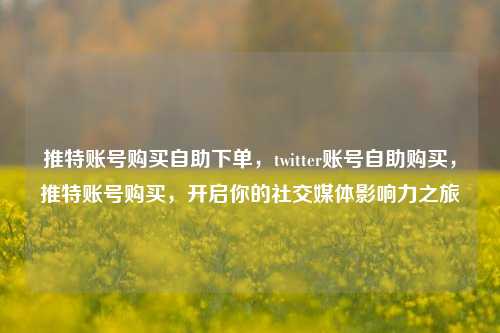 推特账号购买自助下单，twitter账号自助购买，推特账号购买，开启你的社交媒体影响力之旅