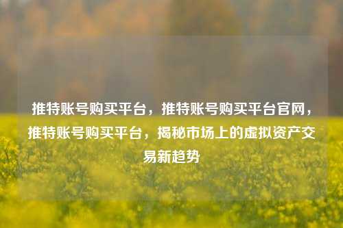 推特账号购买平台，推特账号购买平台官网，推特账号购买平台，揭秘市场上的虚拟资产交易新趋势