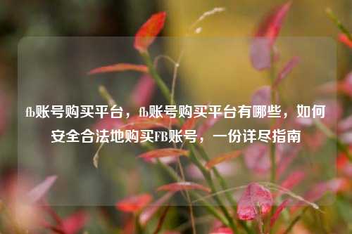 fb账号购买平台，fb账号购买平台有哪些，如何安全合法地购买FB账号，一份详尽指南