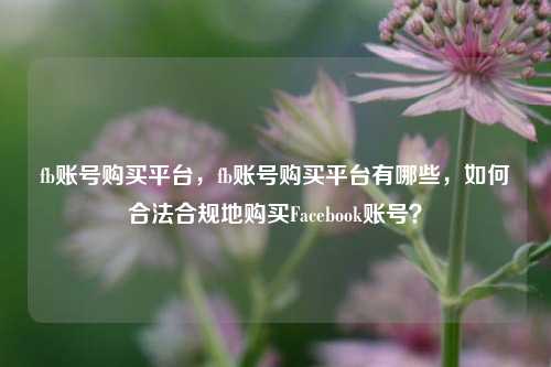 fb账号购买平台，fb账号购买平台有哪些，如何合法合规地购买Facebook账号？
