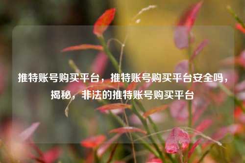 推特账号购买平台，推特账号购买平台安全吗，揭秘，非法的推特账号购买平台