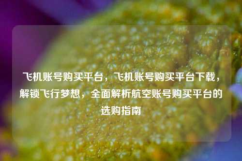 飞机账号购买平台，飞机账号购买平台下载	，解锁飞行梦想，全面解析航空账号购买平台的选购指南  第1张
