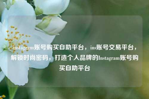 instagram账号购买自助平台，ins账号交易平台，解锁时尚密码，打造个人品牌的Instagram账号购买自助平台