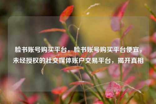脸书账号购买平台，脸书账号购买平台便宜，未经授权的社交媒体账户交易平台，揭开真相