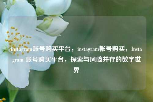 instagram账号购买平台，instagram帐号购买，Instagram 账号购买平台，探索与风险并存的数字世界