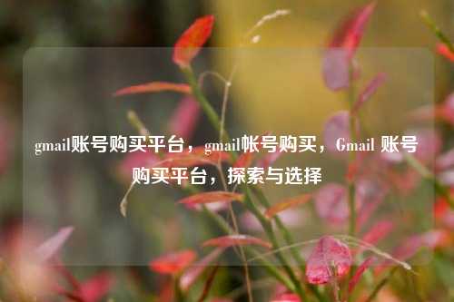 gmail账号购买平台，gmail帐号购买，Gmail 账号购买平台，探索与选择