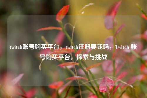 twitch账号购买平台，twitch注册要钱吗，Twitch 账号购买平台，探索与挑战