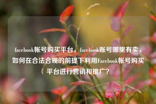 facebook帐号购买平台，facebook账号哪里有卖，如何在合法合规的前提下利用Facebook帐号购买平台进行营销和推广？