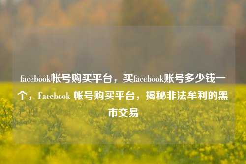 facebook帐号购买平台，买facebook账号多少钱一个	，Facebook 帐号购买平台，揭秘非法牟利的黑市交易  第1张
