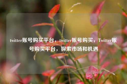 twitter账号购买平台，twitter帐号购买，Twitter账号购买平台，探索市场和机遇