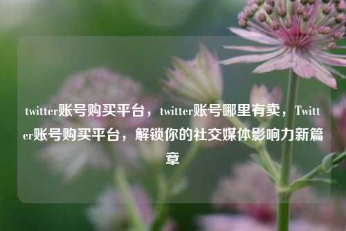 twitter账号购买平台，twitter账号哪里有卖，Twitter账号购买平台，解锁你的社交媒体影响力新篇章