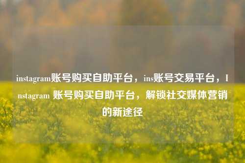 instagram账号购买自助平台，ins账号交易平台，Instagram 账号购买自助平台，解锁社交媒体营销的新途径