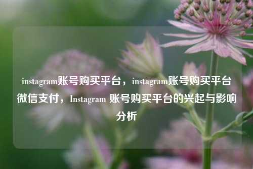 instagram账号购买平台，instagram账号购买平台微信支付，Instagram 账号购买平台的兴起与影响分析